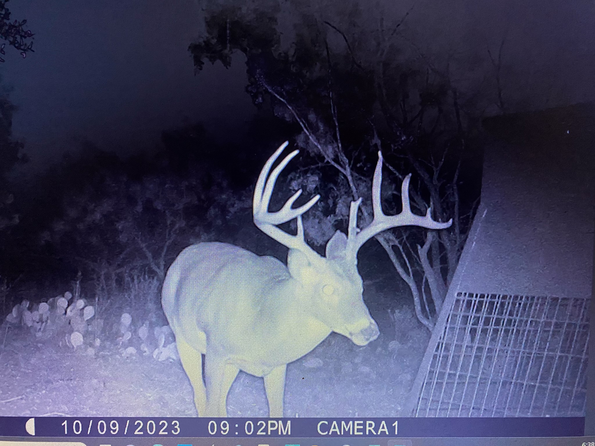Tbd County Road 291 Breckenridge TX 76464