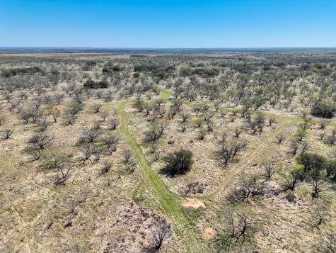 Tbd County Road 291 Breckenridge TX 76464