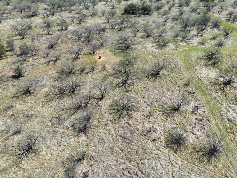 Tbd County Road 291 Breckenridge TX 76464