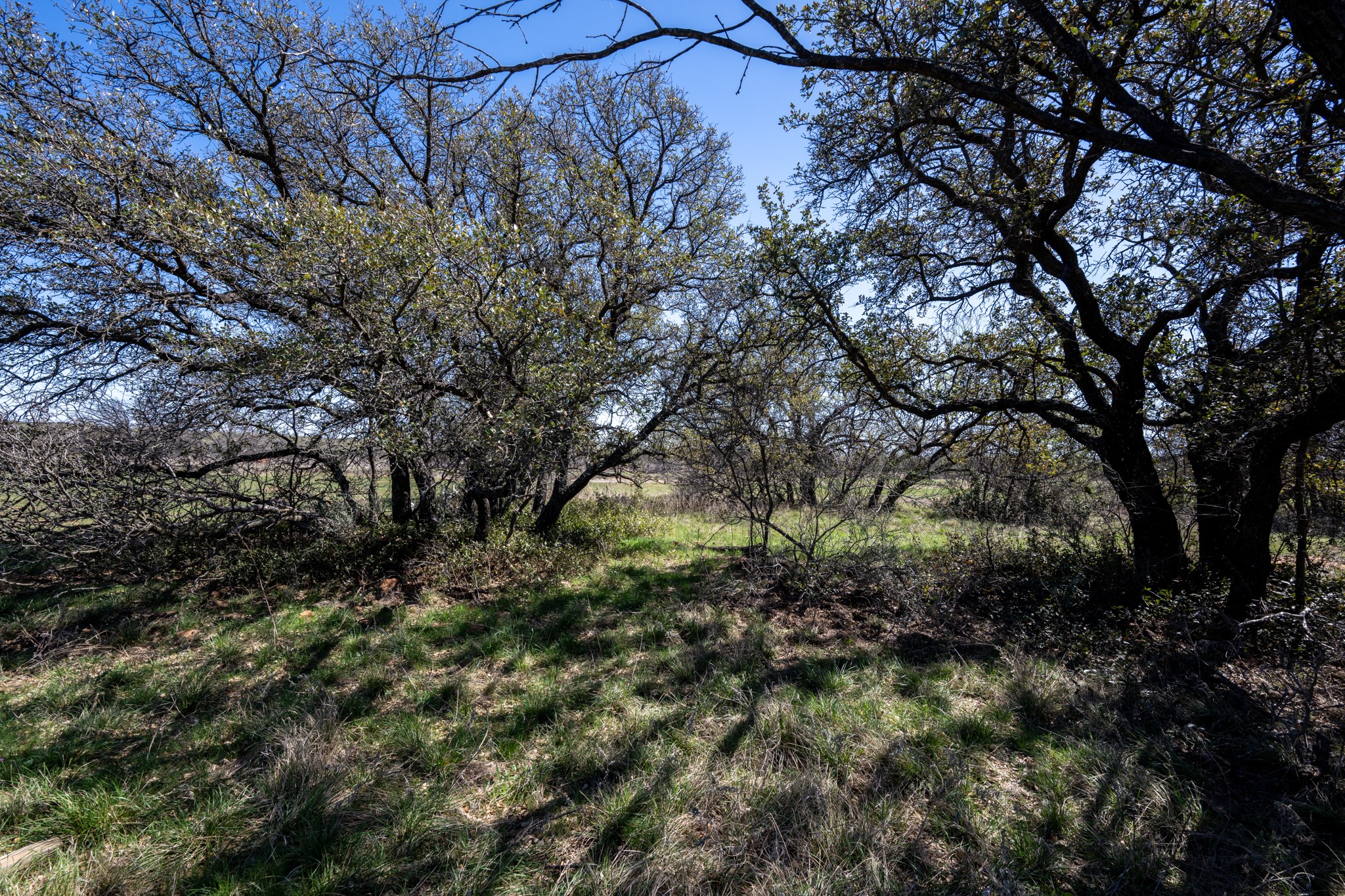 Tbd County Road 291 Breckenridge TX 76464