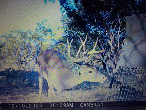 Tbd County Road 291 Breckenridge TX 76464