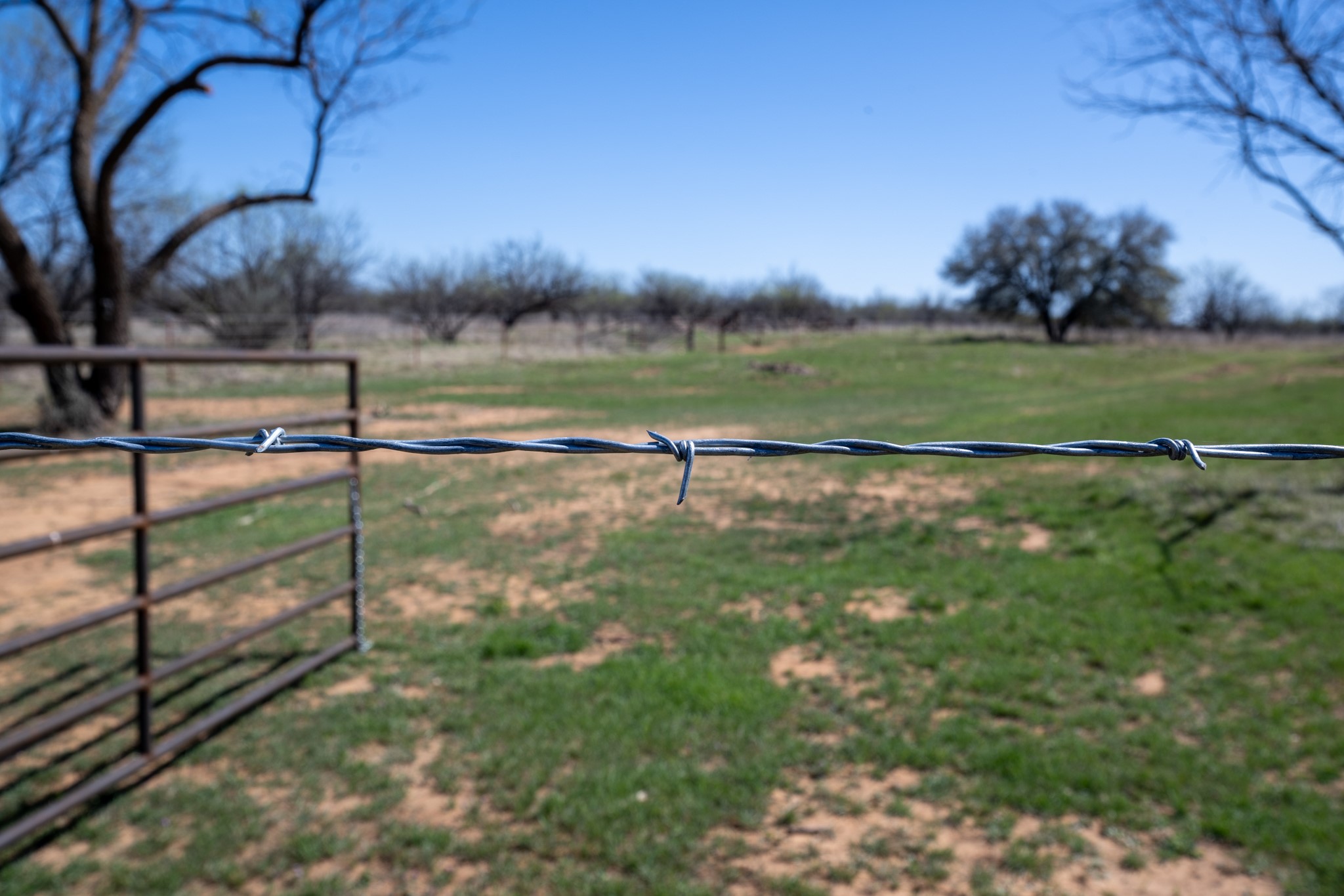 Tbd County Road 291 Breckenridge TX 76464