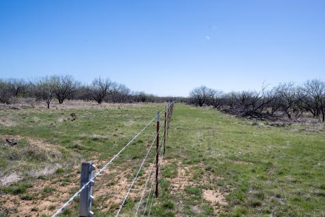 Tbd County Road 291 Breckenridge TX 76464