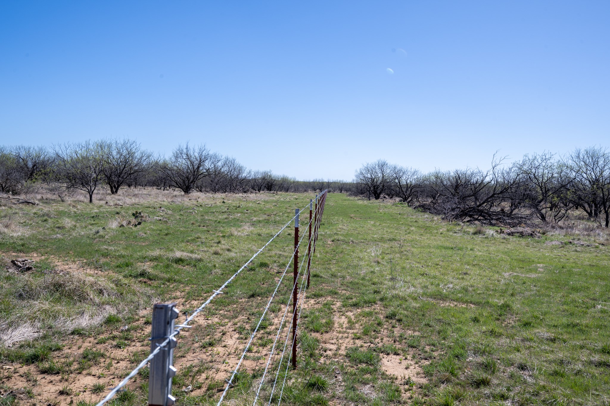 Tbd County Road 291 Breckenridge TX 76464