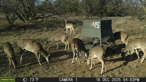 Tbd County Road 291 Breckenridge TX 76464