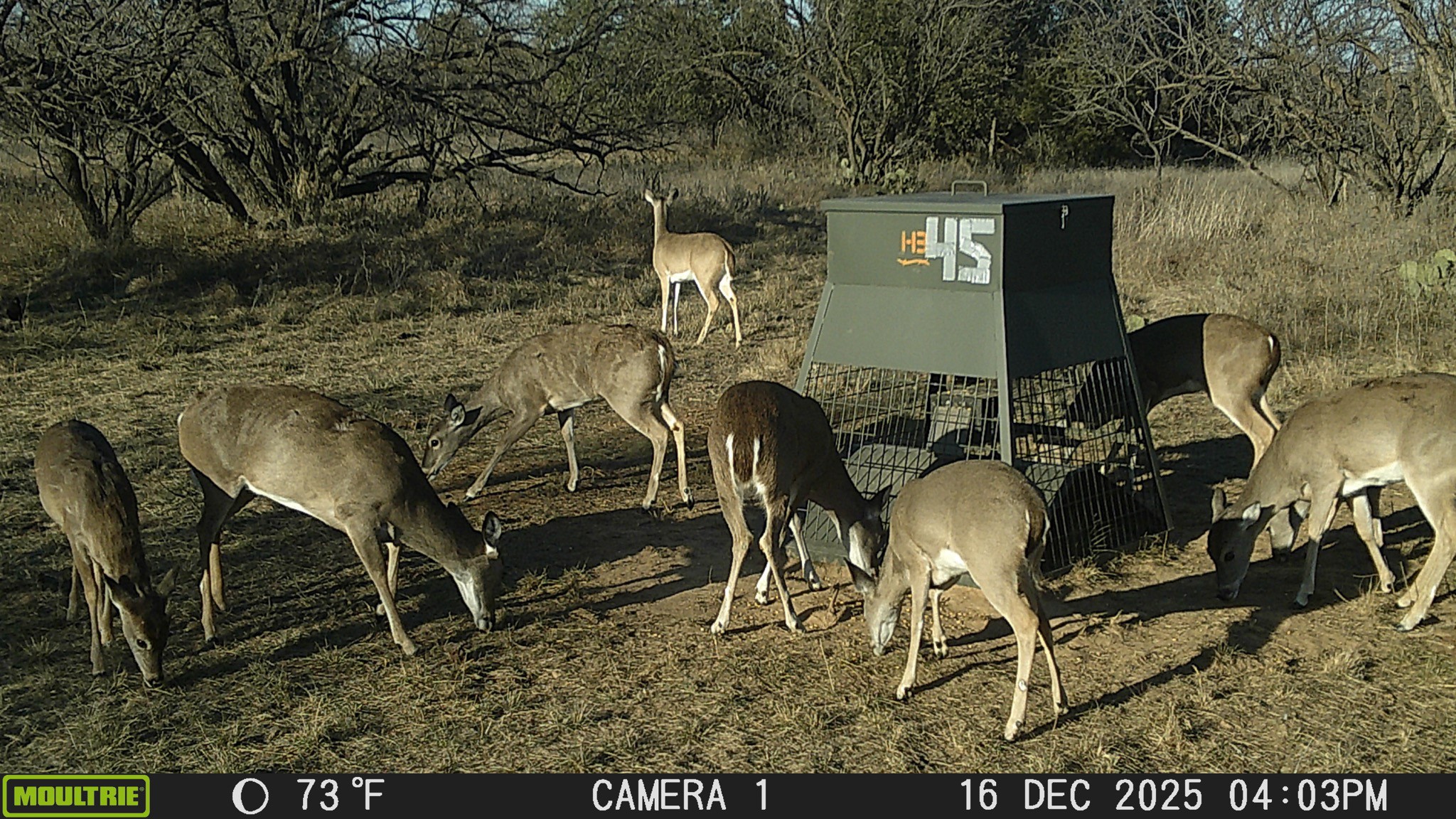 Tbd County Road 291 Breckenridge TX 76464