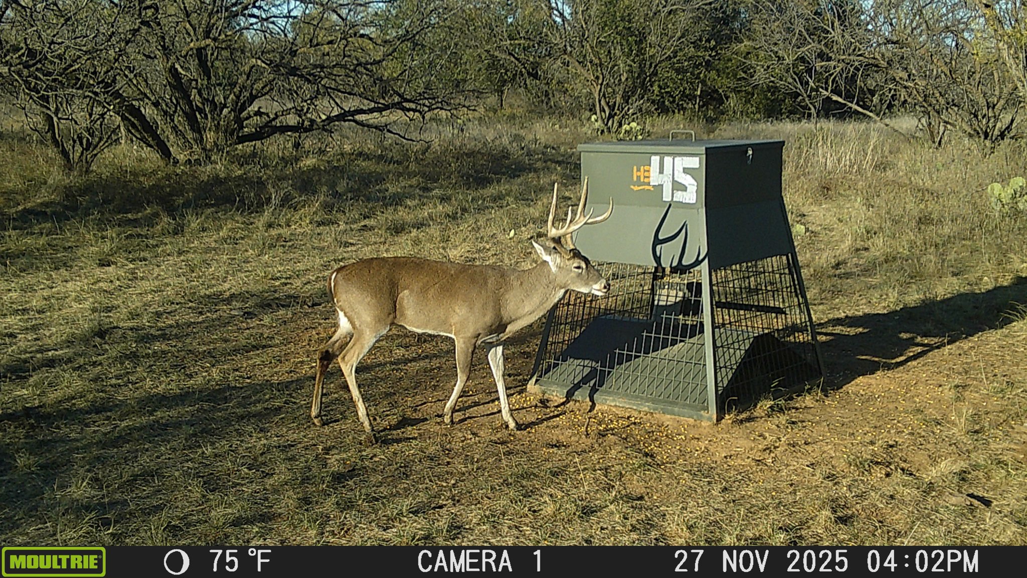 Tbd County Road 291 Breckenridge TX 76464