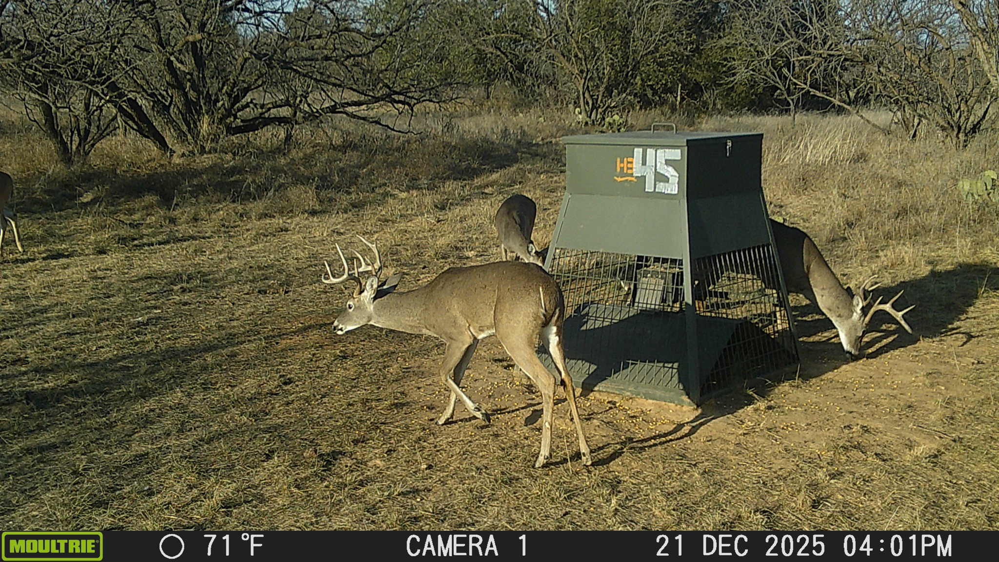 Tbd County Road 291 Breckenridge TX 76464