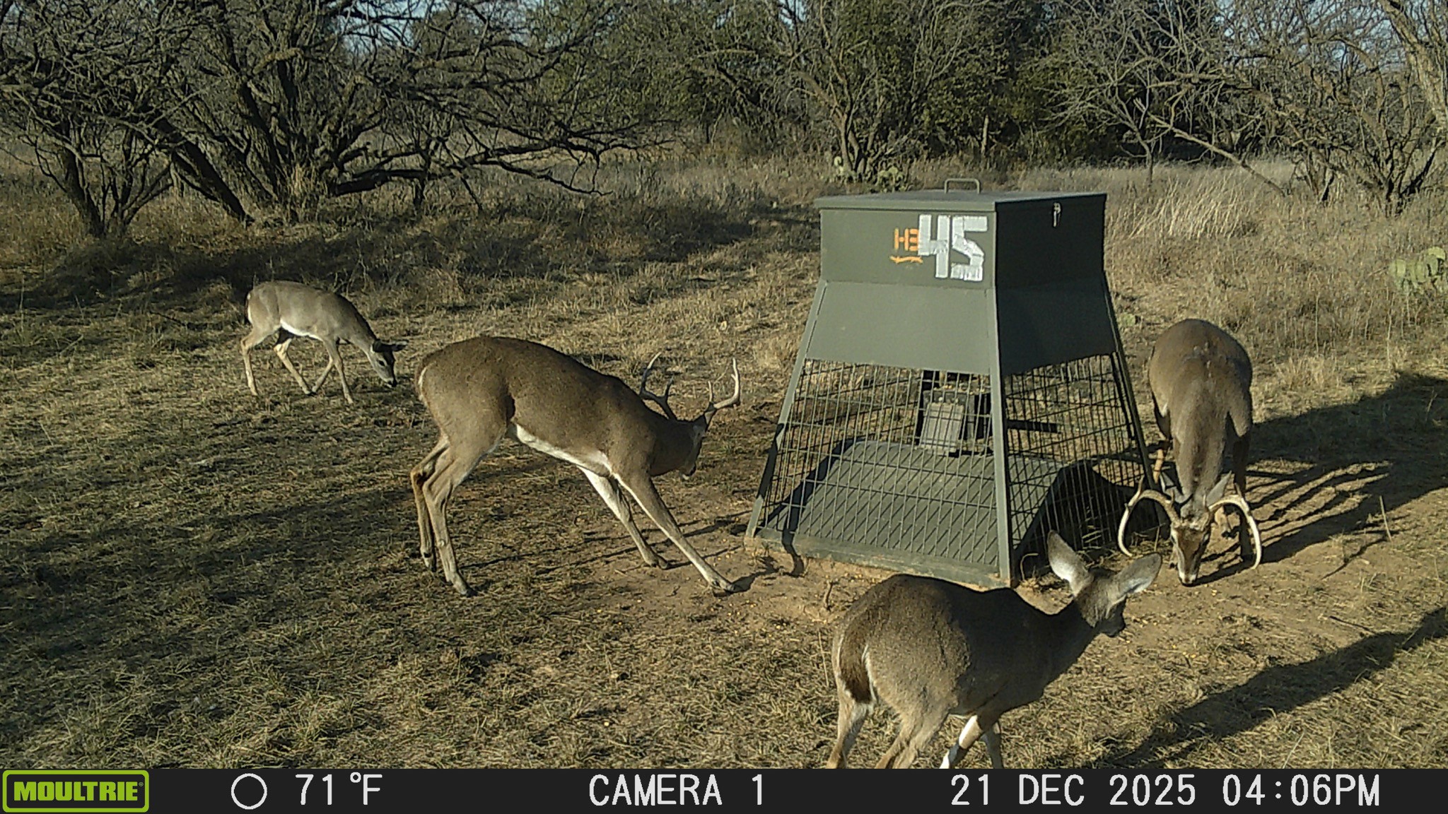 Tbd County Road 291 Breckenridge TX 76464
