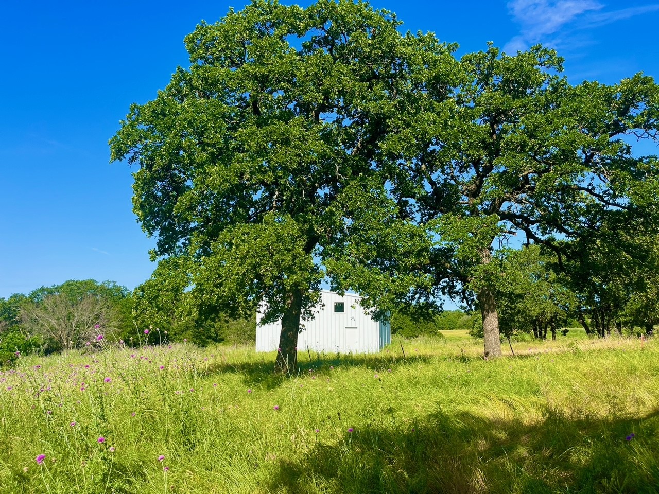 Lot 55 & 56 Kilkenny Road Poolville TX 76487