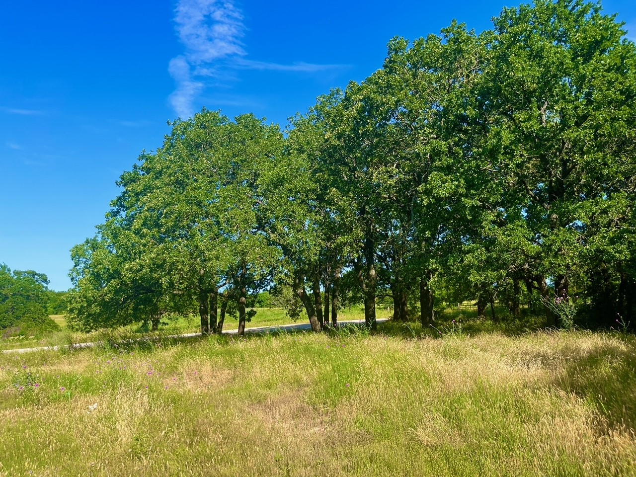 Lot 55 & 56 Kilkenny Road Poolville TX 76487