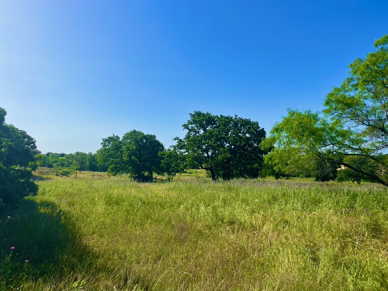 Lot 55 & 56 Kilkenny Road Poolville TX 76487