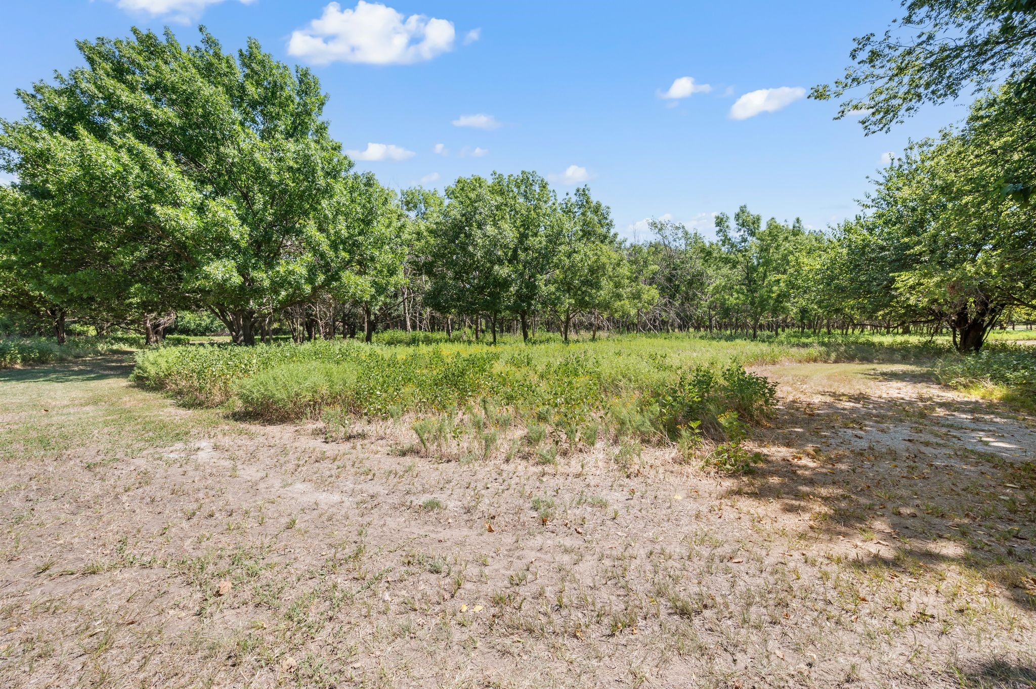 13109 Roanoke Road Westlake TX 76262