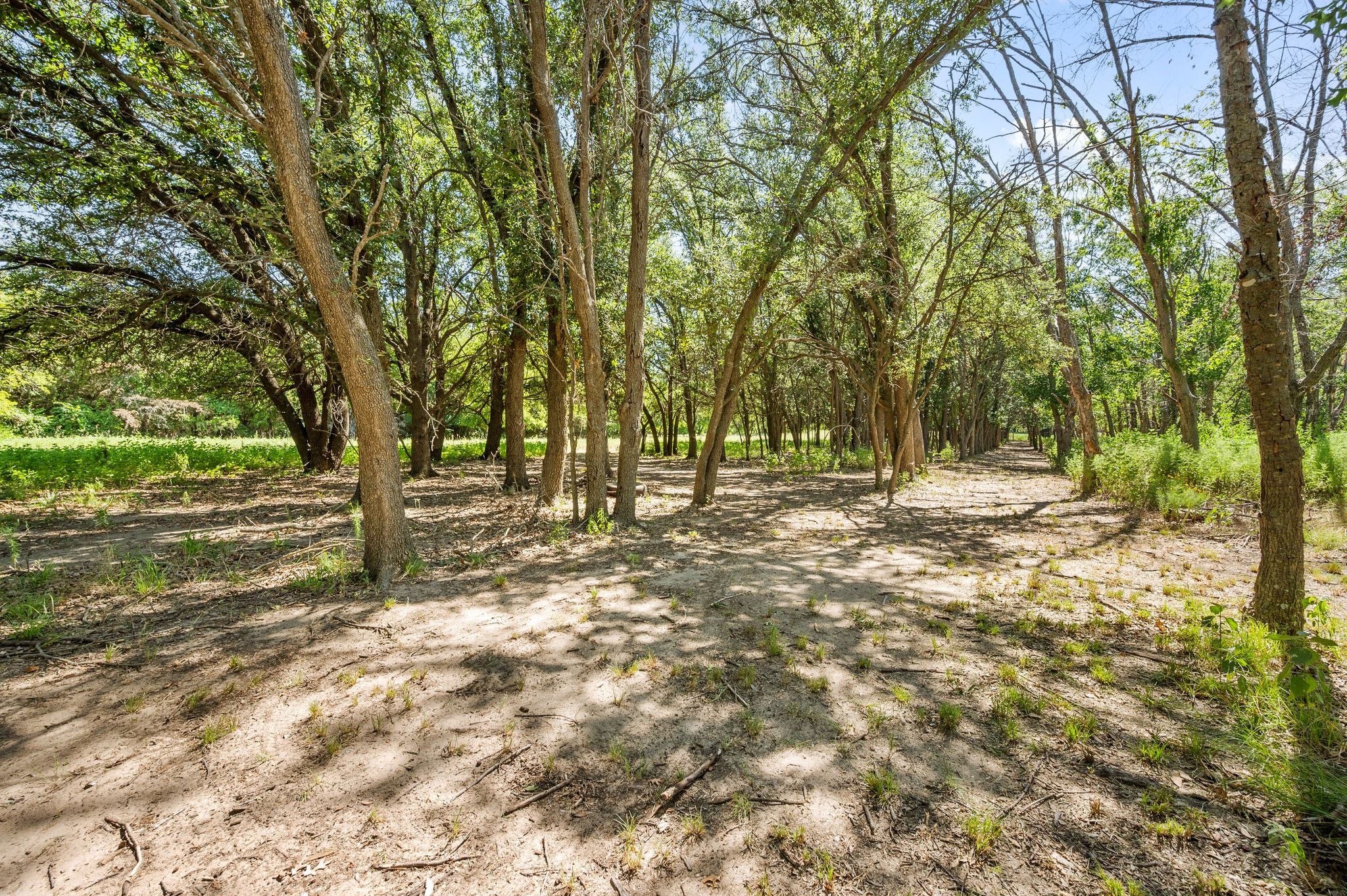 13109 Roanoke Road Westlake TX 76262
