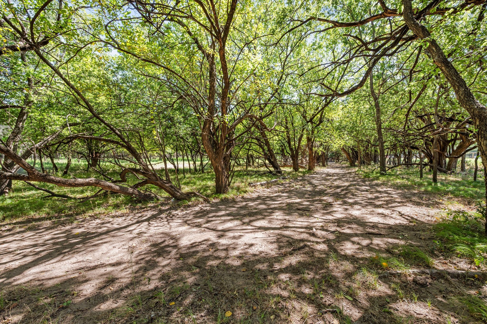 13109 Roanoke Road Westlake TX 76262