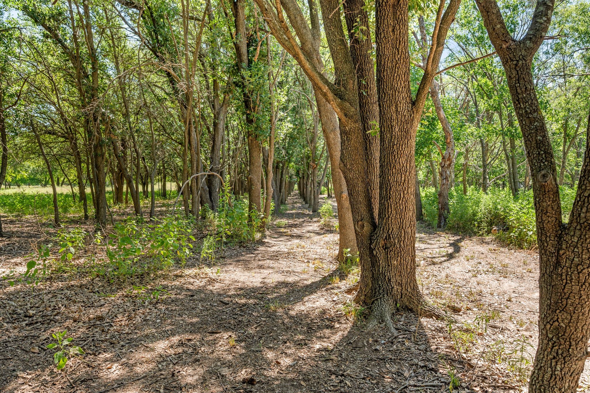 13109 Roanoke Road Westlake TX 76262