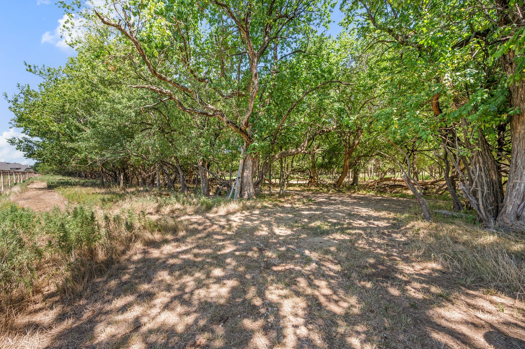 13109 Roanoke Road Westlake TX 76262