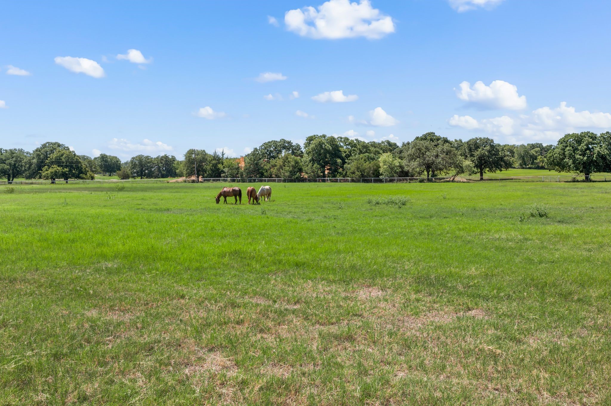 13109 Roanoke Road Westlake TX 76262