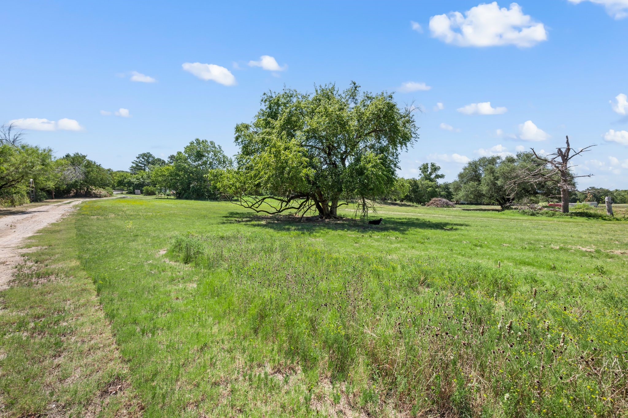 13109 Roanoke Road Westlake TX 76262