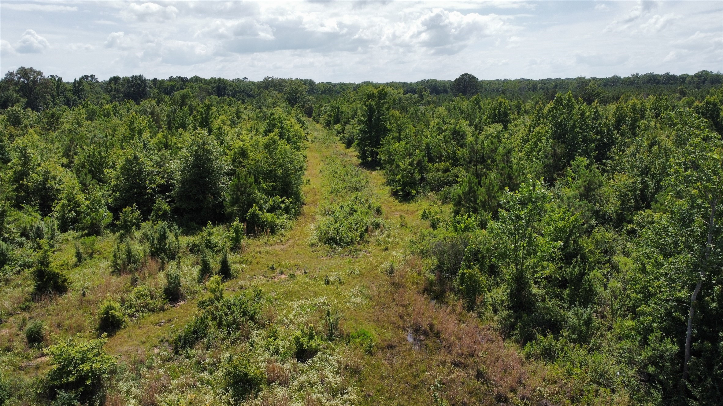 Tbd County Road 4507 De Kalb TX 75559
