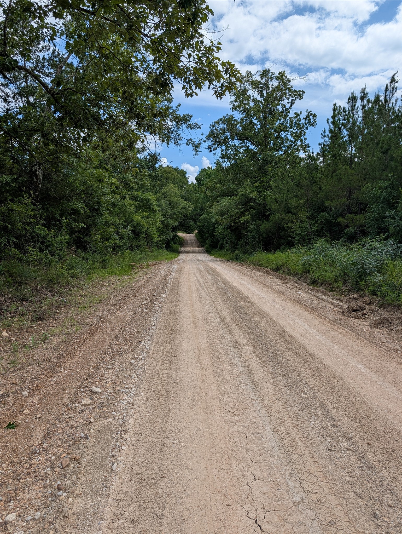 Tbd County Road 4507 De Kalb TX 75559
