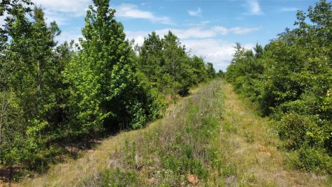 Tbd County Road 4507 De Kalb TX 75559