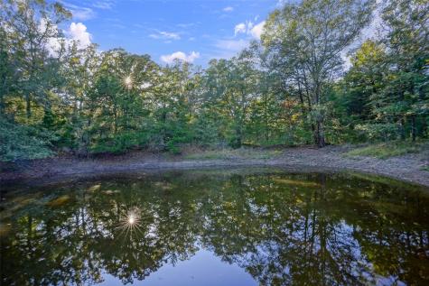 45 Acres County Road 930 Teague TX 75860
