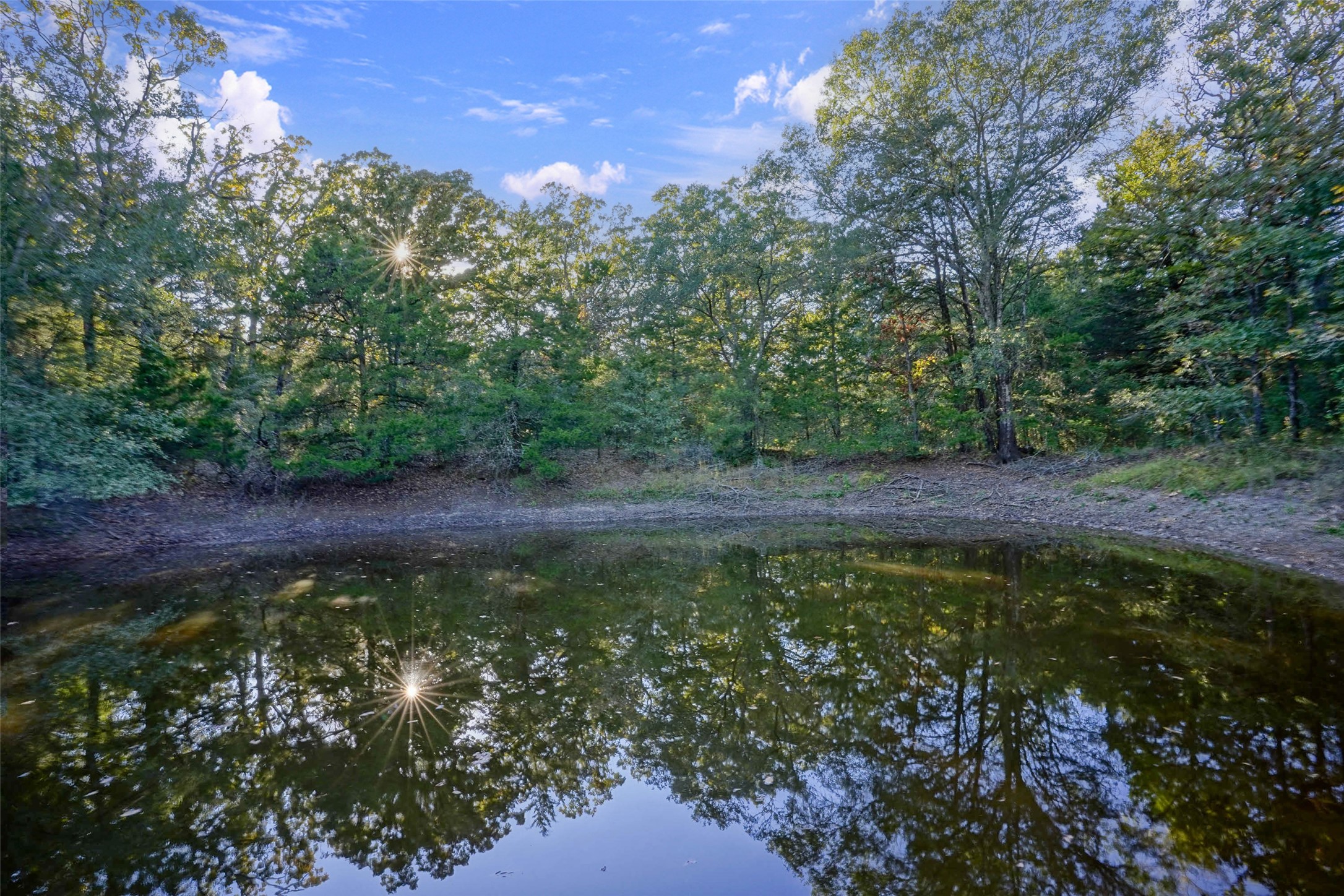 45 Acres County Road 930 Teague TX 75860