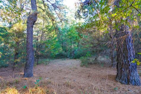 45 Acres County Road 930 Teague TX 75860