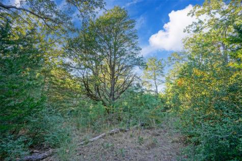 45 Acres County Road 930 Teague TX 75860
