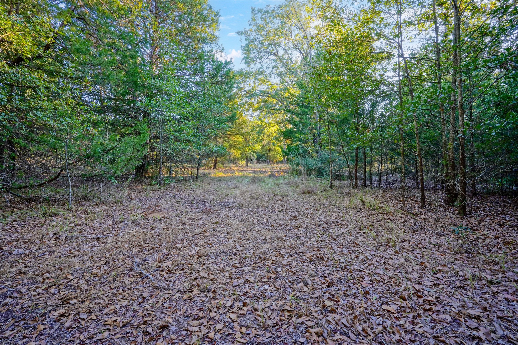 45 Acres County Road 930 Teague TX 75860