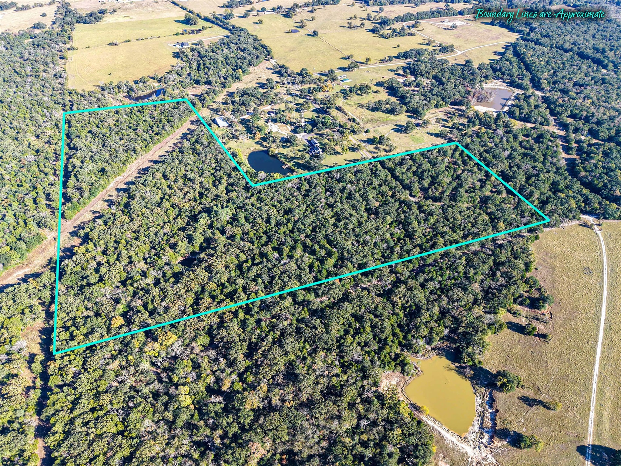 45 Acres County Road 930 Teague TX 75860