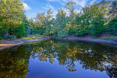 45 Acres County Road 930 Teague TX 75860