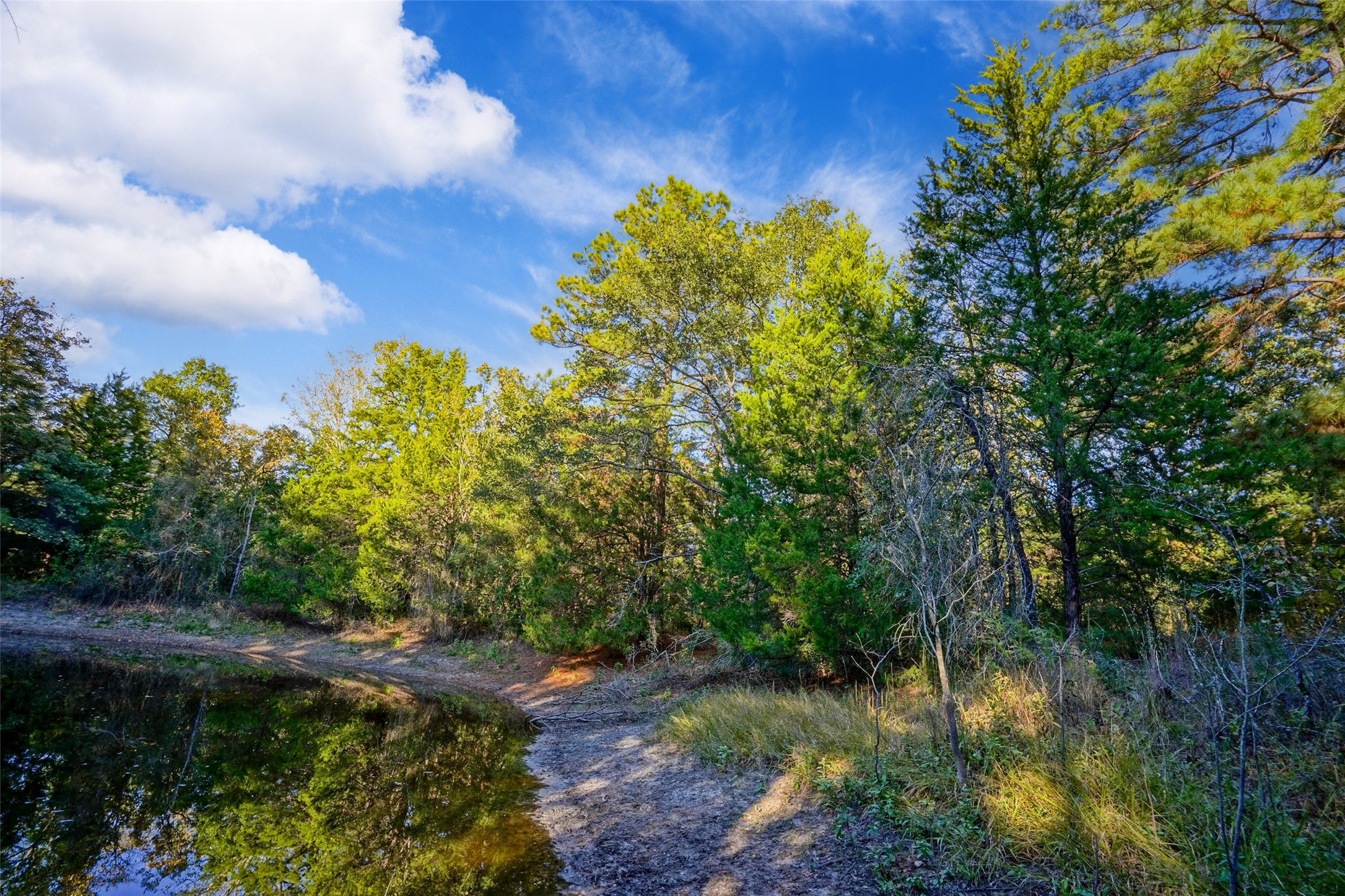 45 Acres County Road 930 Teague TX 75860