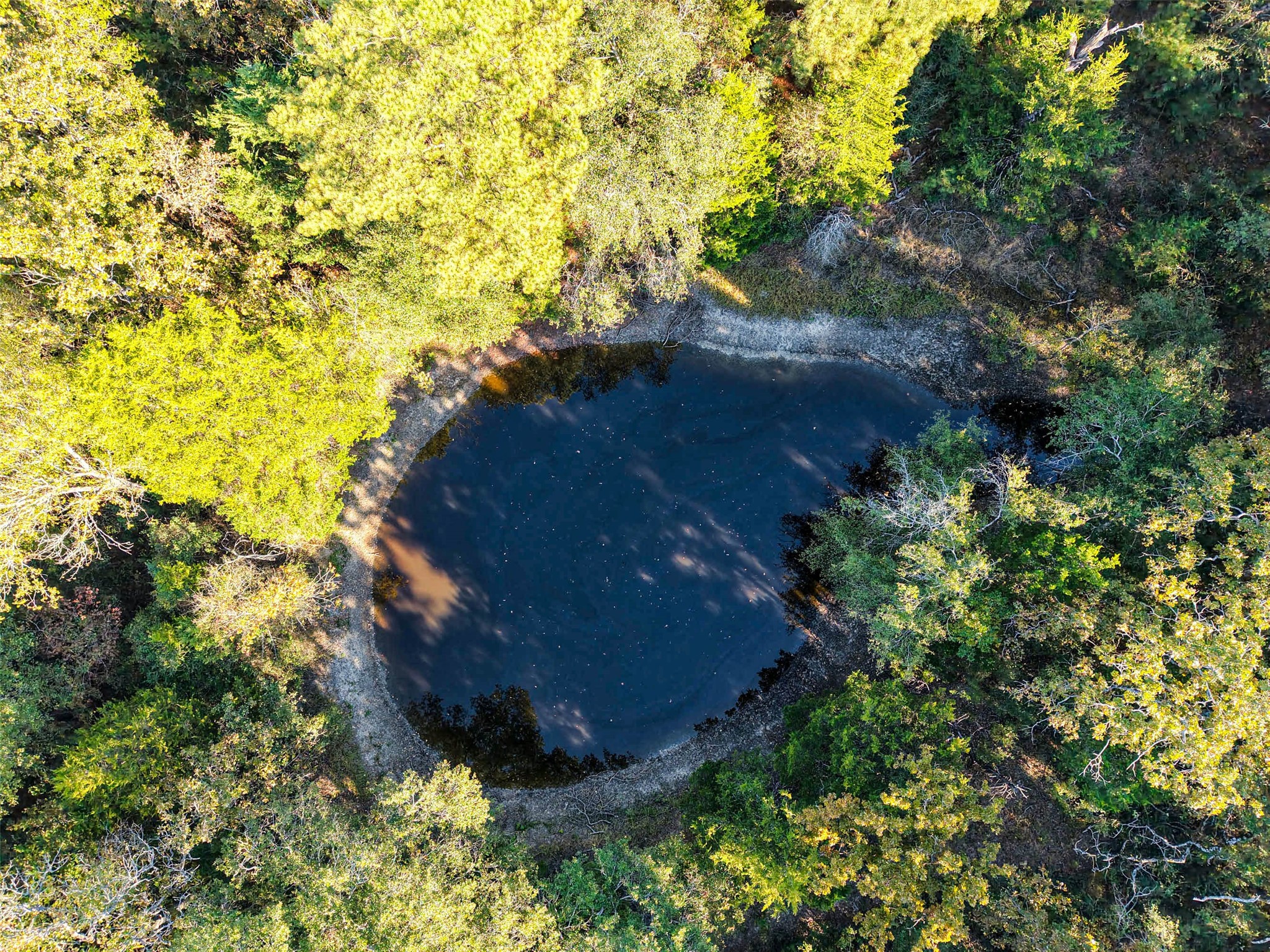 45 Acres County Road 930 Teague TX 75860