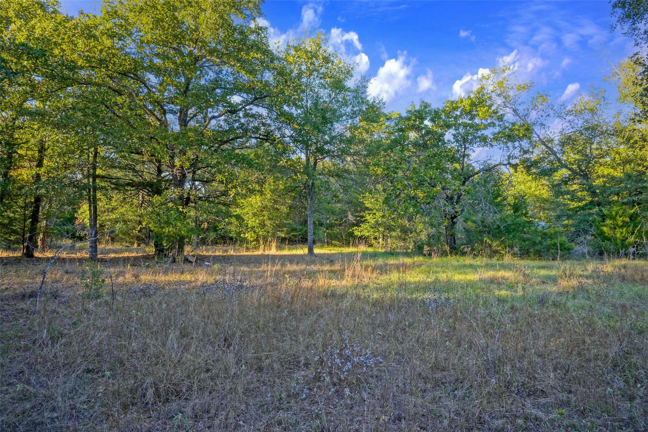 45 Acres County Road 930 Teague TX 75860