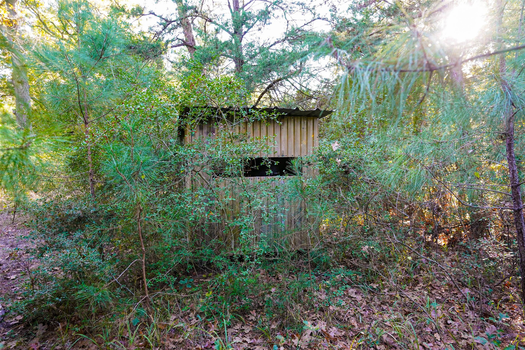 45 Acres County Road 930 Teague TX 75860