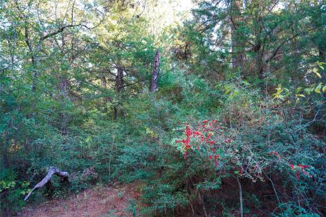 45 Acres County Road 930 Teague TX 75860