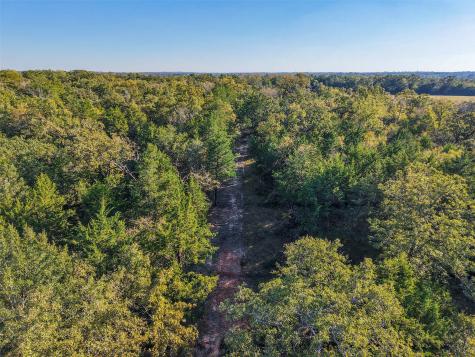 45 Acres County Road 930 Teague TX 75860
