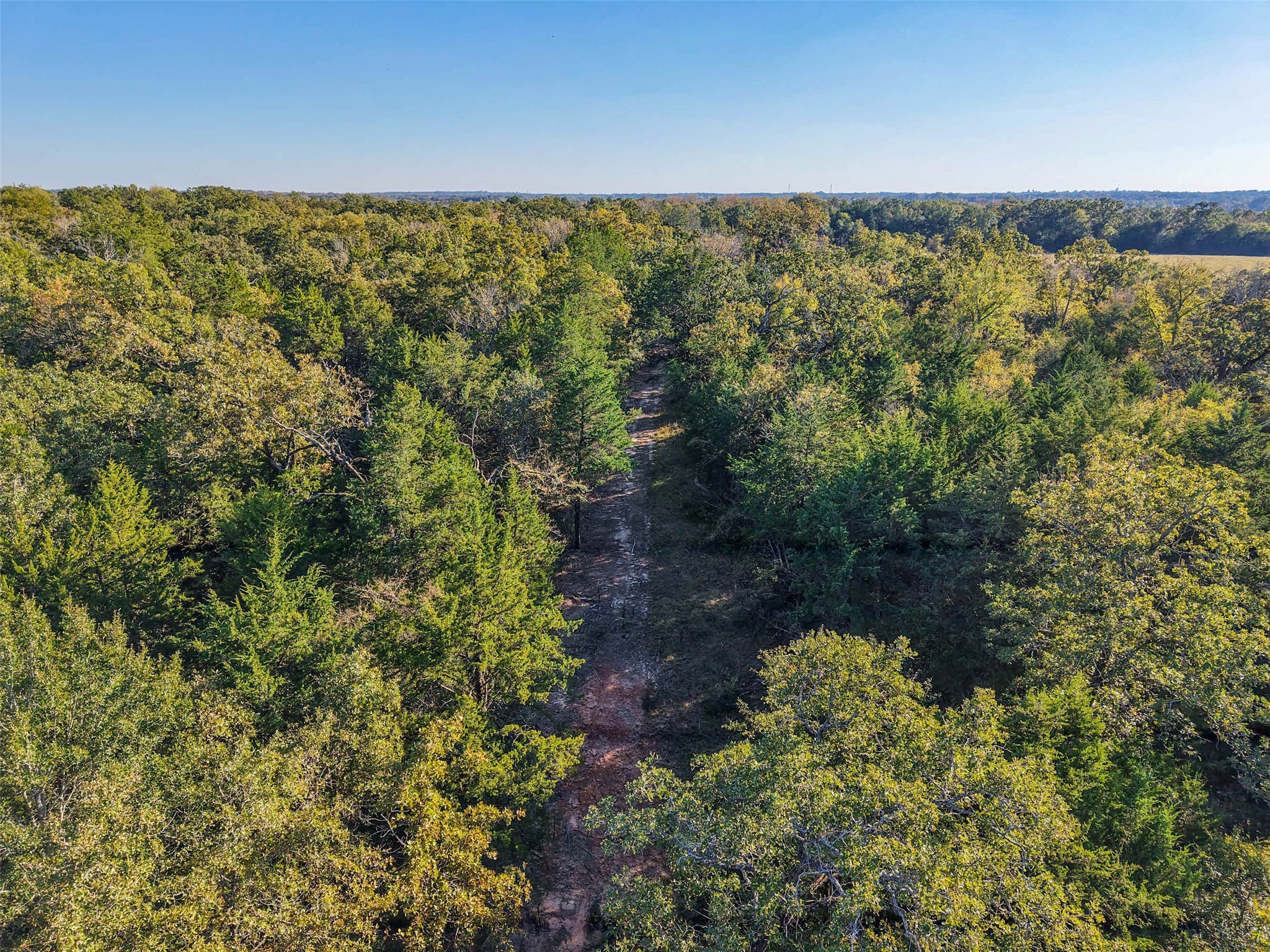 45 Acres County Road 930 Teague TX 75860