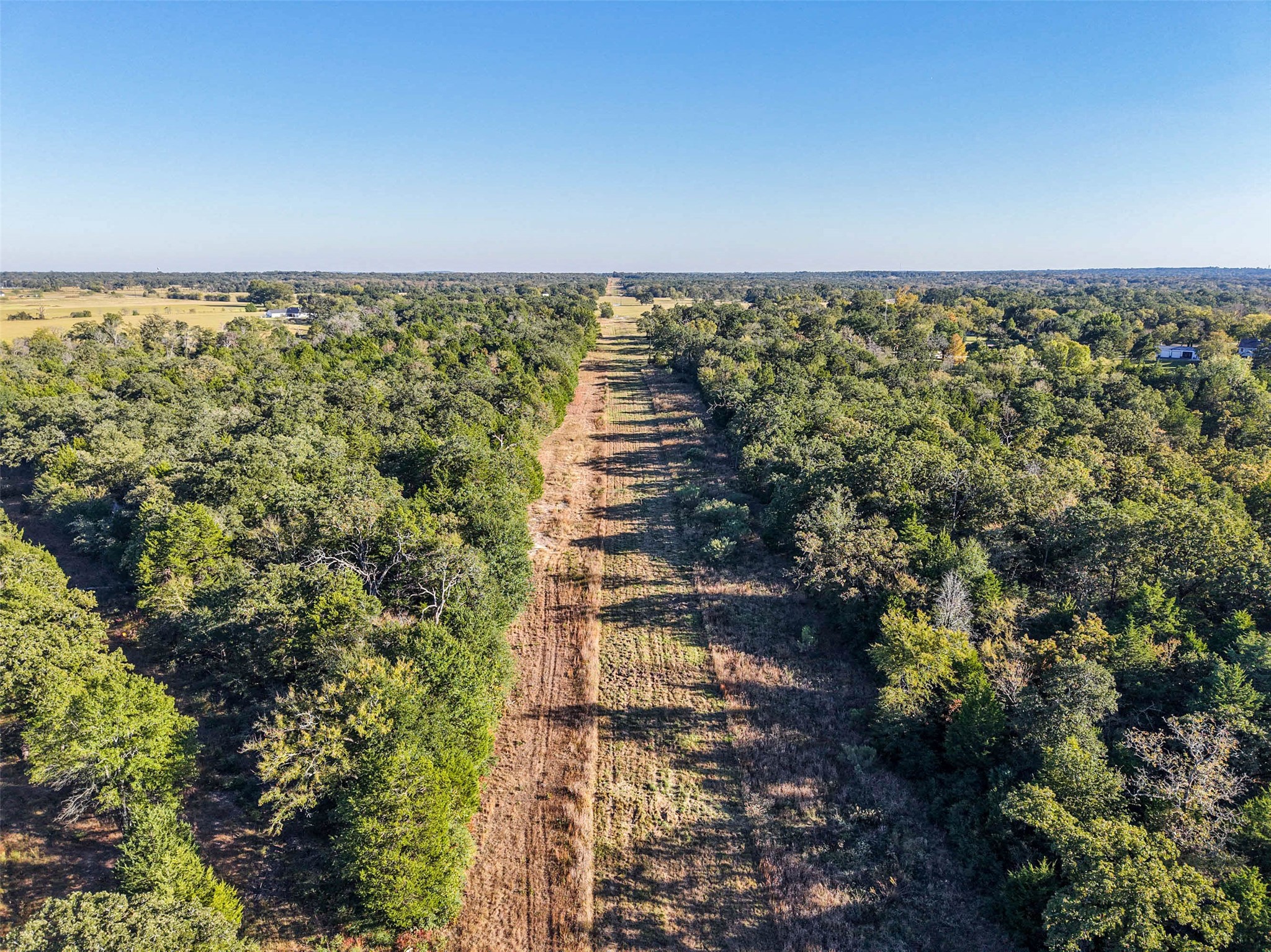 45 Acres County Road 930 Teague TX 75860