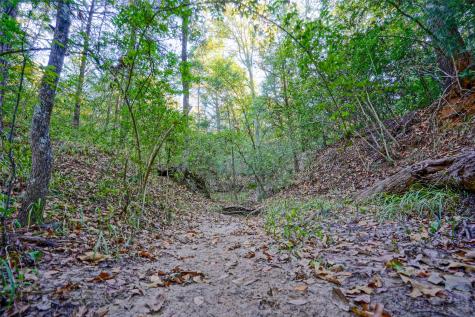 45 Acres County Road 930 Teague TX 75860