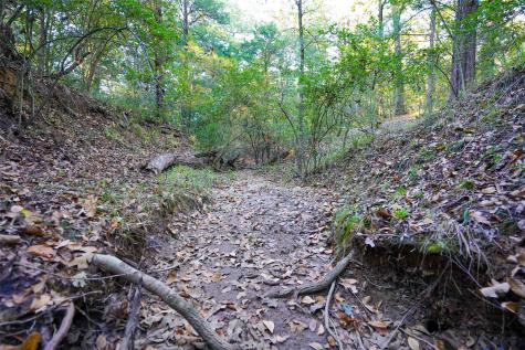 45 Acres County Road 930 Teague TX 75860