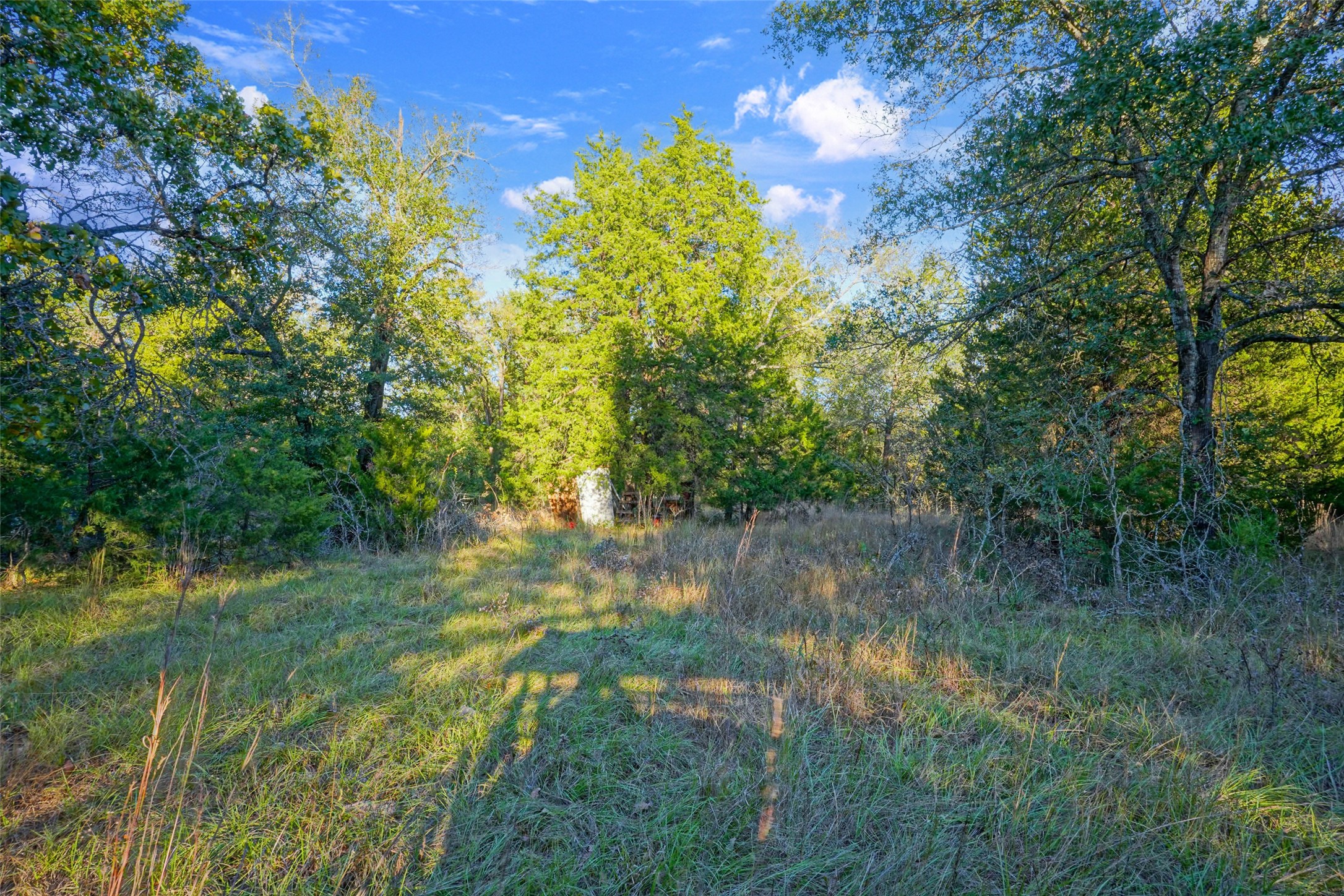 45 Acres County Road 930 Teague TX 75860