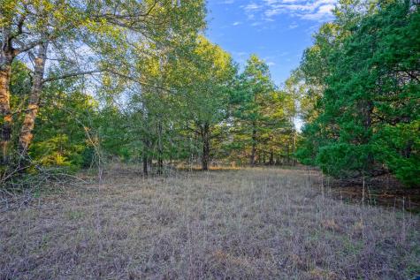 45 Acres County Road 930 Teague TX 75860