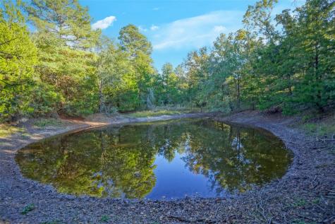 45 Acres County Road 930 Teague TX 75860