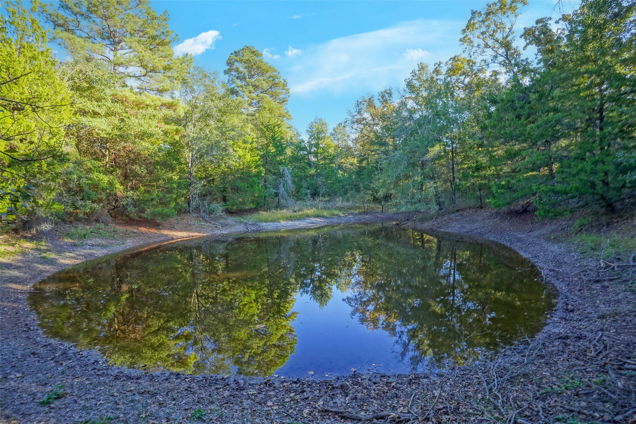 45 Acres County Road 930 Teague TX 75860