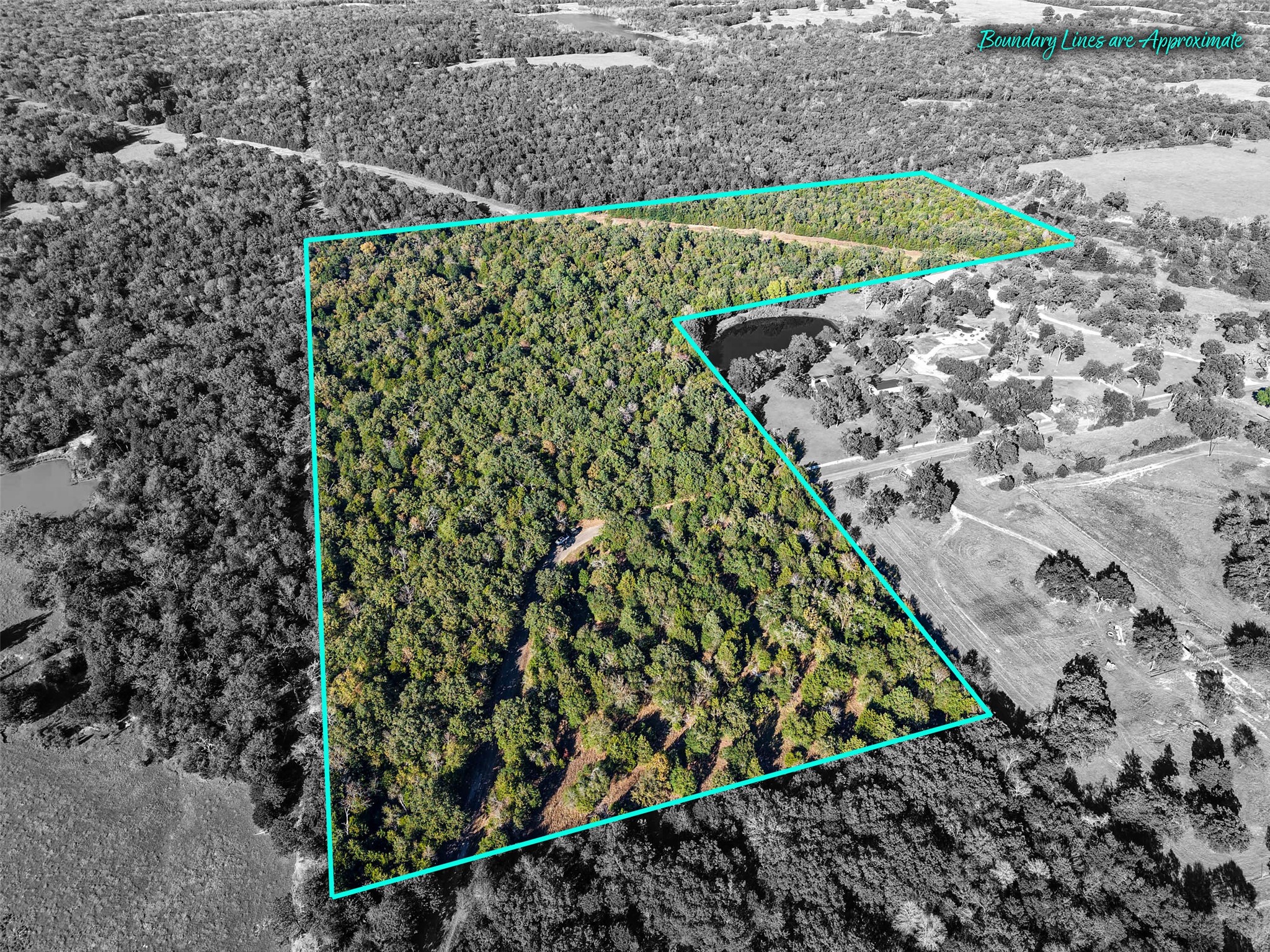 45 Acres County Road 930 Teague TX 75860