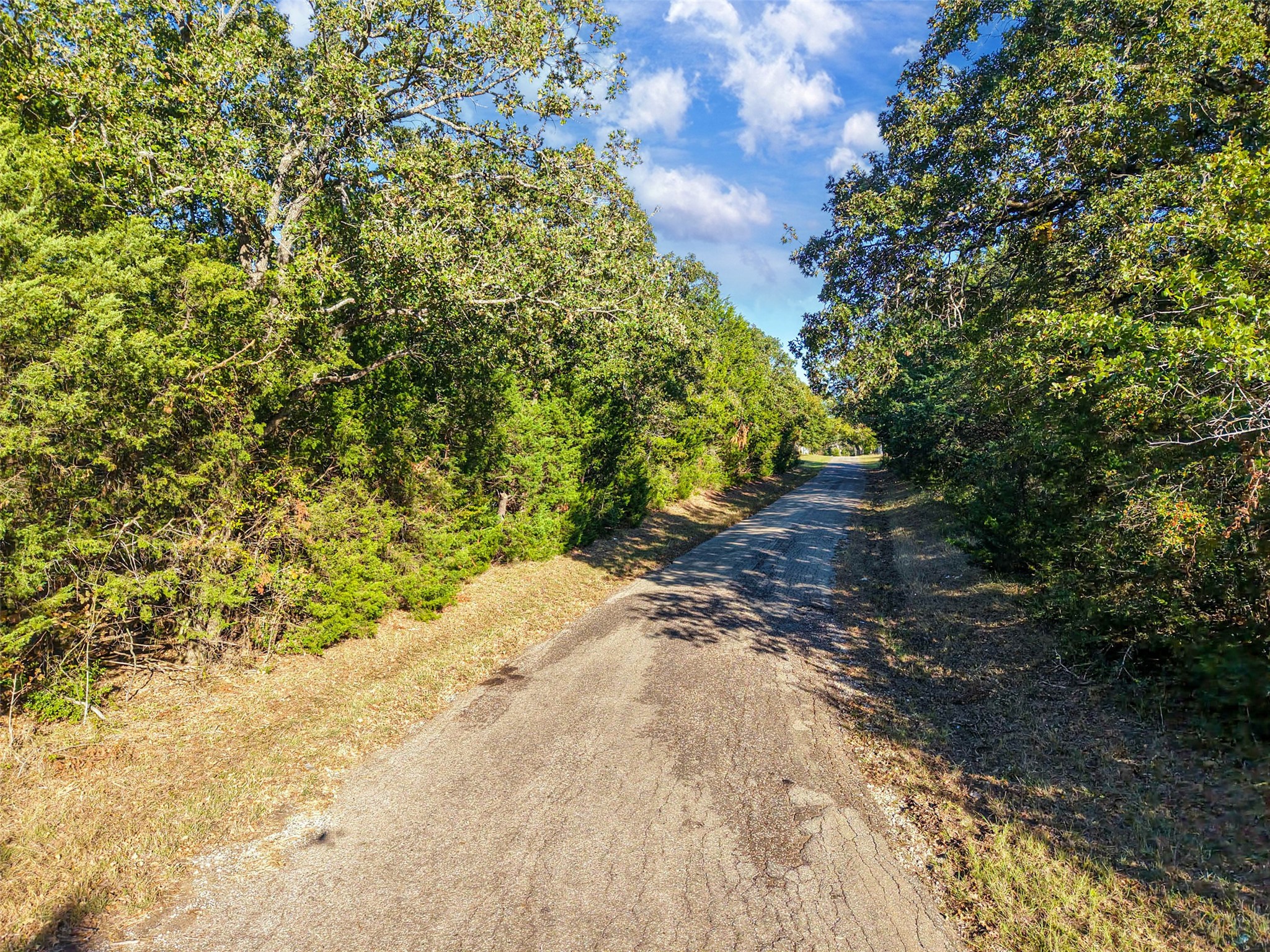 45 Acres County Road 930 Teague TX 75860