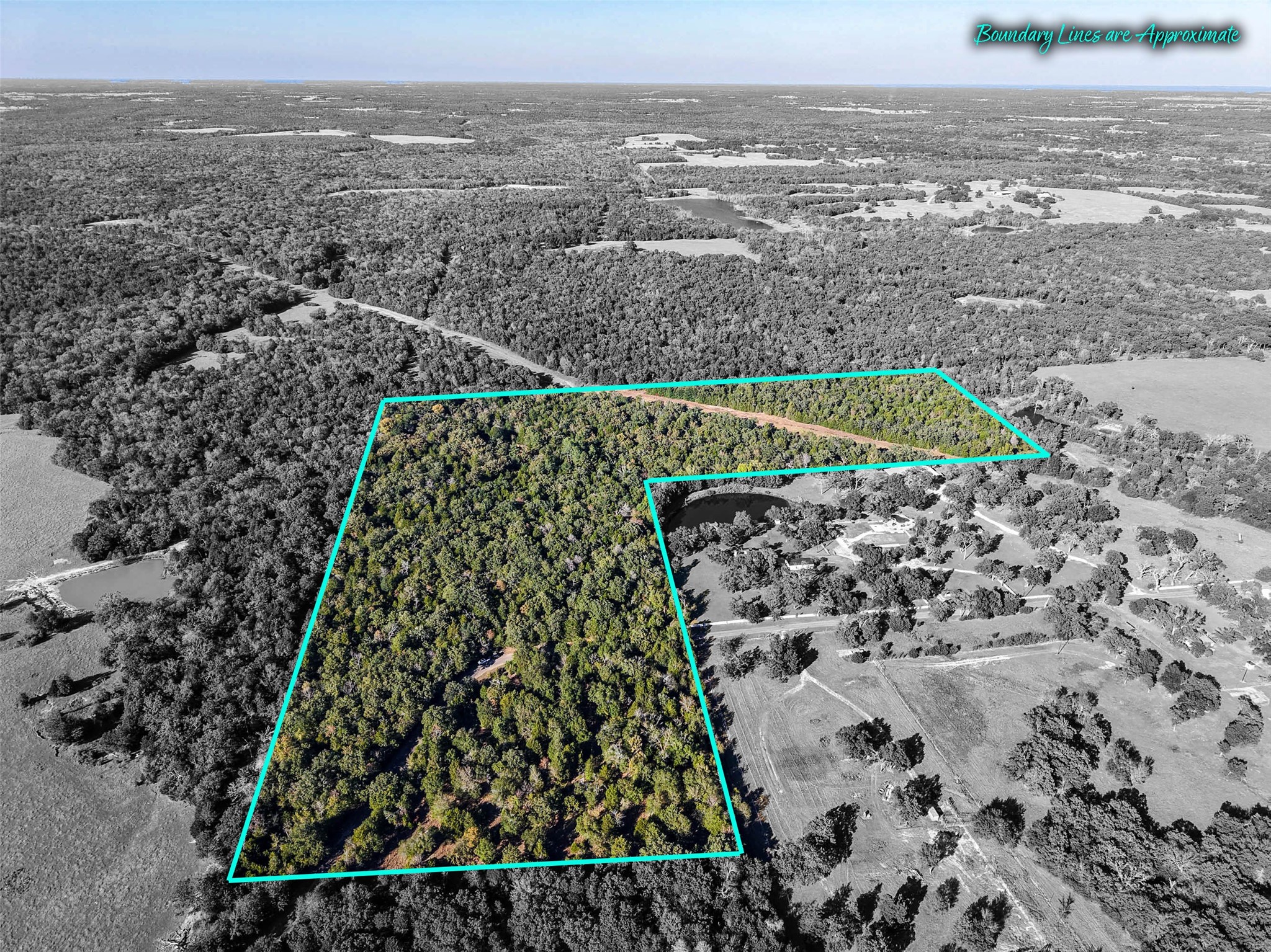45 Acres County Road 930 Teague TX 75860